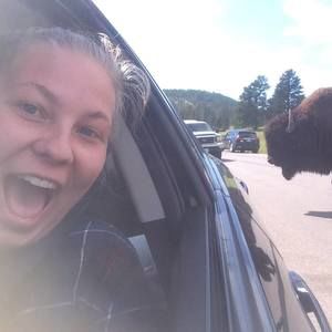 Meet your Posher, Anne